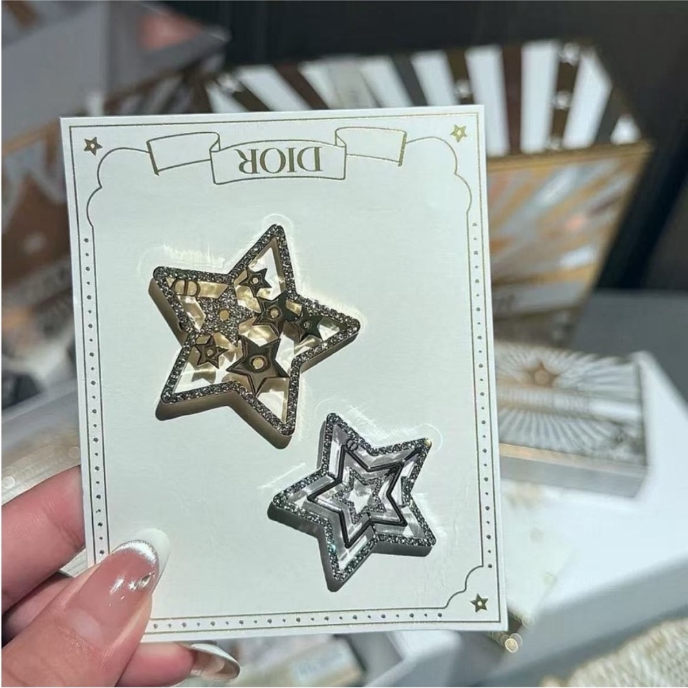 Dior new gift  Star Brooch Set